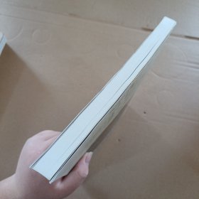 中国高级工商管理丛书·CEO人力资源管理与开发