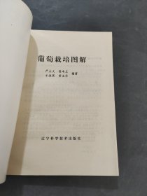 葡萄栽培图解