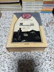 获诺贝尔文学奖作家丛书：魔山（精装，一版一印）