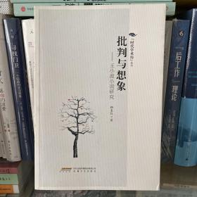 批判与想象：王小波小说研究