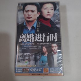 二十五集电视连续剧 离婚进行时 25碟VCD