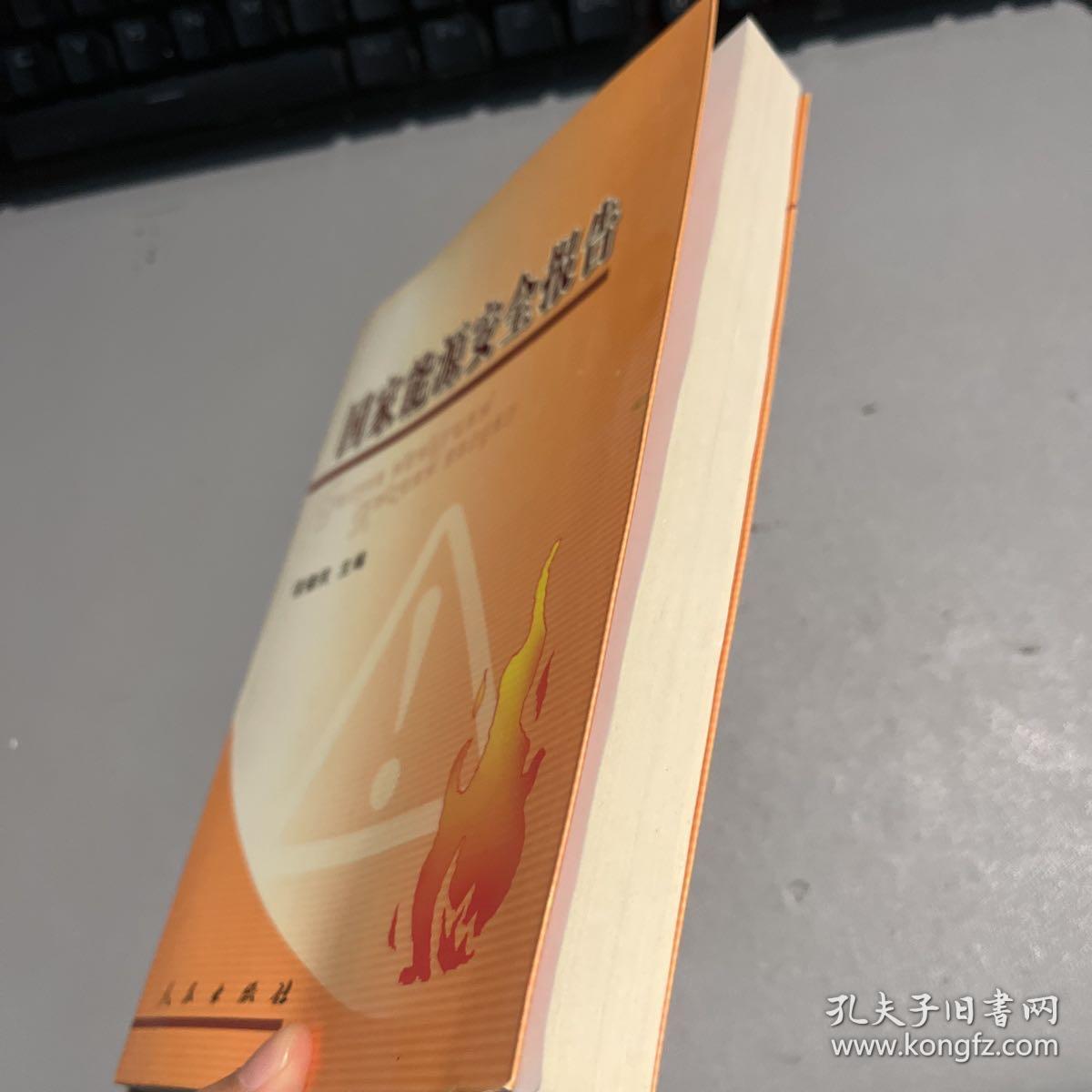 国家能源安全报告