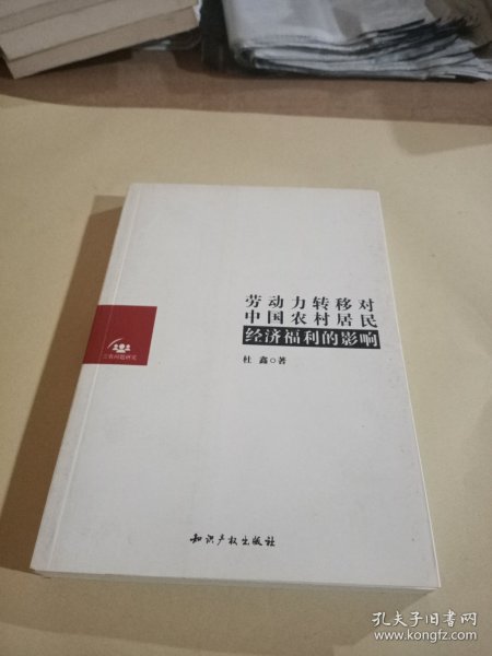 劳动力转移对中国农村居民经济福利的影响