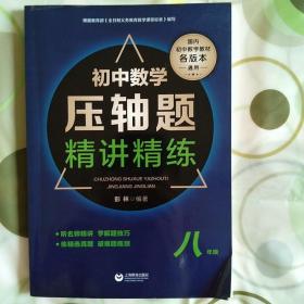 初中数学压轴题精讲精练（八年级）