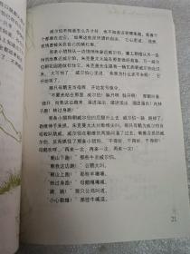 夏洛的网