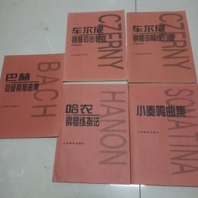 《哈农钢琴练指法》《巴赫初级钢琴曲》《车尔尼钢琴初步教程》《车尔尼钢琴流畅练习曲》《小奏鸣曲集》五本合售（6-2）