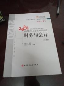 轻松过关1 2020年税务师职业资格考试应试指导及全真模拟测试  财务与会计（上册）