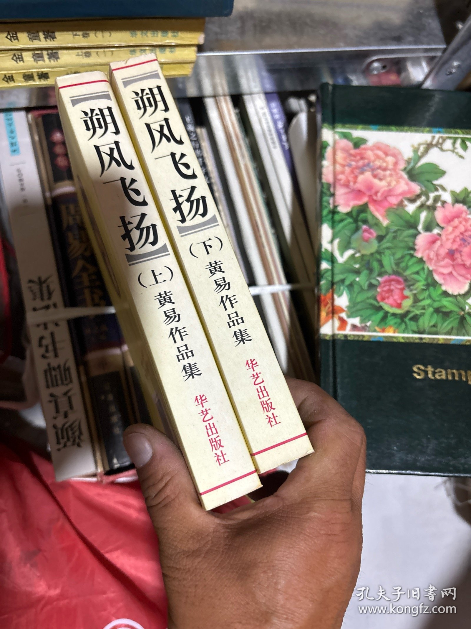 朔风飞扬（上下）