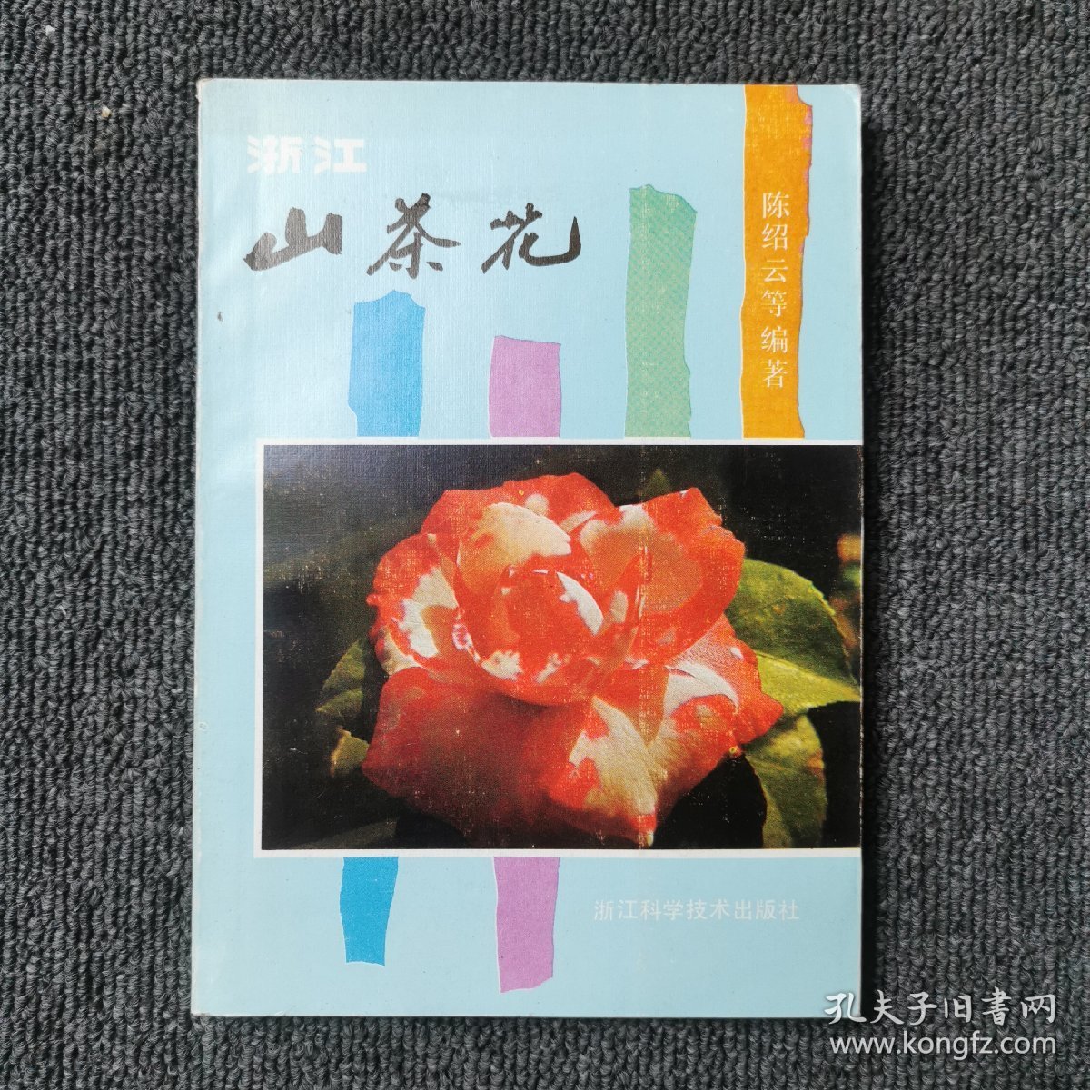 浙江山茶花 （1985年一版一印）