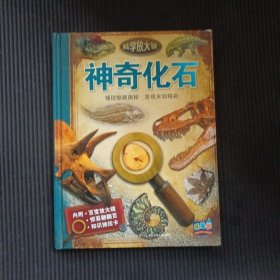 科学放大镜：神奇化石