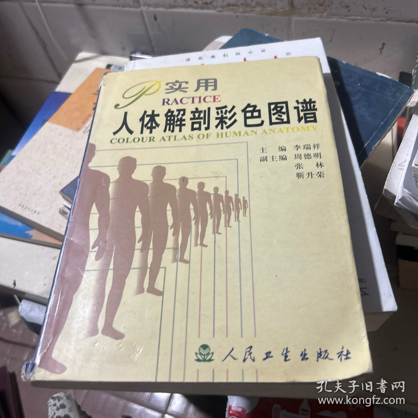 实用人体解剖彩色图谱