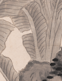 沈周蕉石图 轴。纸本大小57*135厘米。宣纸艺术微喷复制。175元包邮