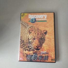 DVD 花豹家族 盒装1碟