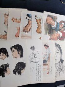 人物速写绘画散页9张