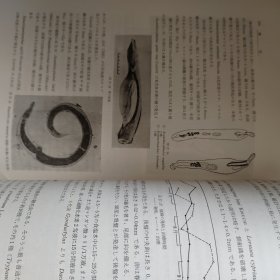 鳗学【养成技术篇】（鳗鱼日文书）