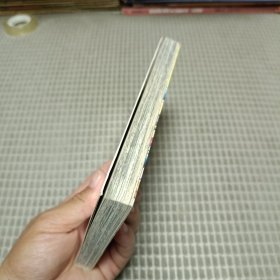 驱魔提琴手2