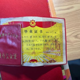庆阳县马岭中学毕业证1985