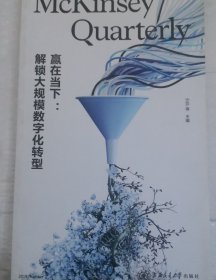 赢在当下：解锁大规模数字化转型