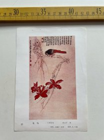 （店内满100元包邮）老画页：花鸟，张大千绘