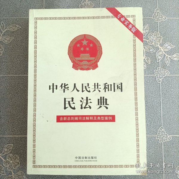 中华人民共和国民法典（专业实务版）含新总则编司法解释及典型案例 2022年版