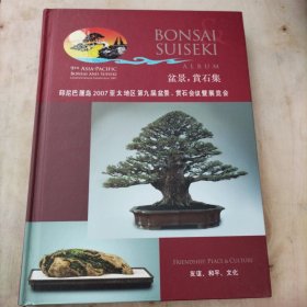 盆景 赏石集 印尼巴厘岛2007亚太地区 第九届盆景 赏石会议暨展览会