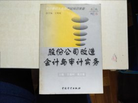 股份公司改造会计与审计实务 存27层