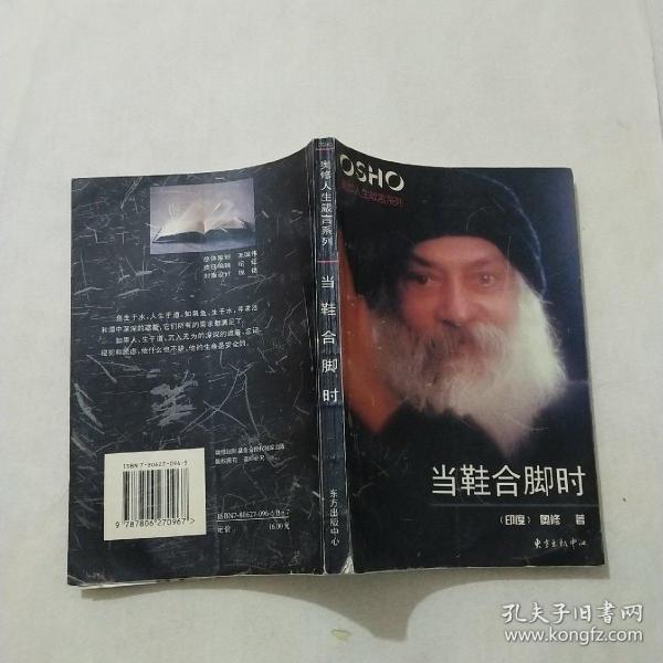 当鞋合脚时：奥修人生箴言系列