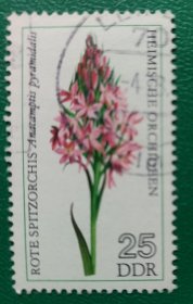 德国邮票 东德1976年兰花-红尖形红门兰 1枚销
