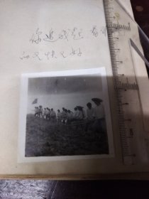 知青题材老照片之六