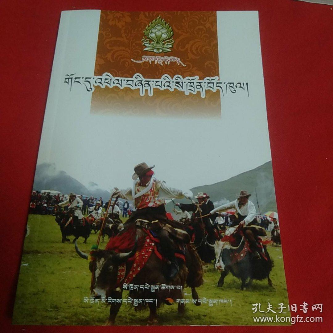 发展中的四川藏区 : 藏文:
