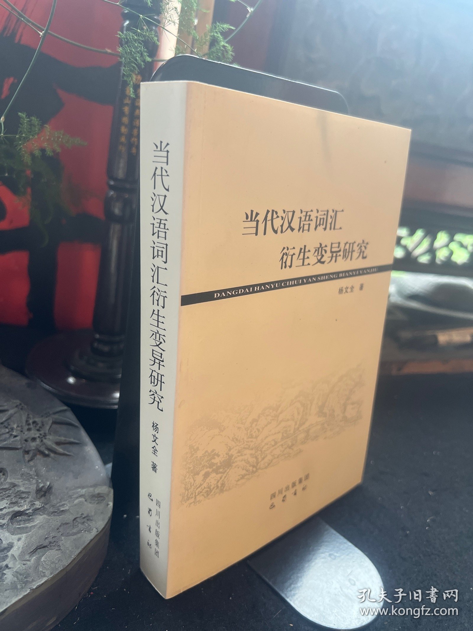 当代汉语词汇衍生变异研究 一版一印