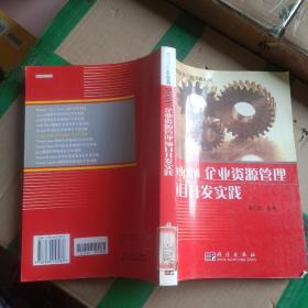 Delphi企业资源管理项目开发实践——程序员项目开发实践系列