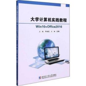 大学计算机实践教程:Win 10+Office 2016