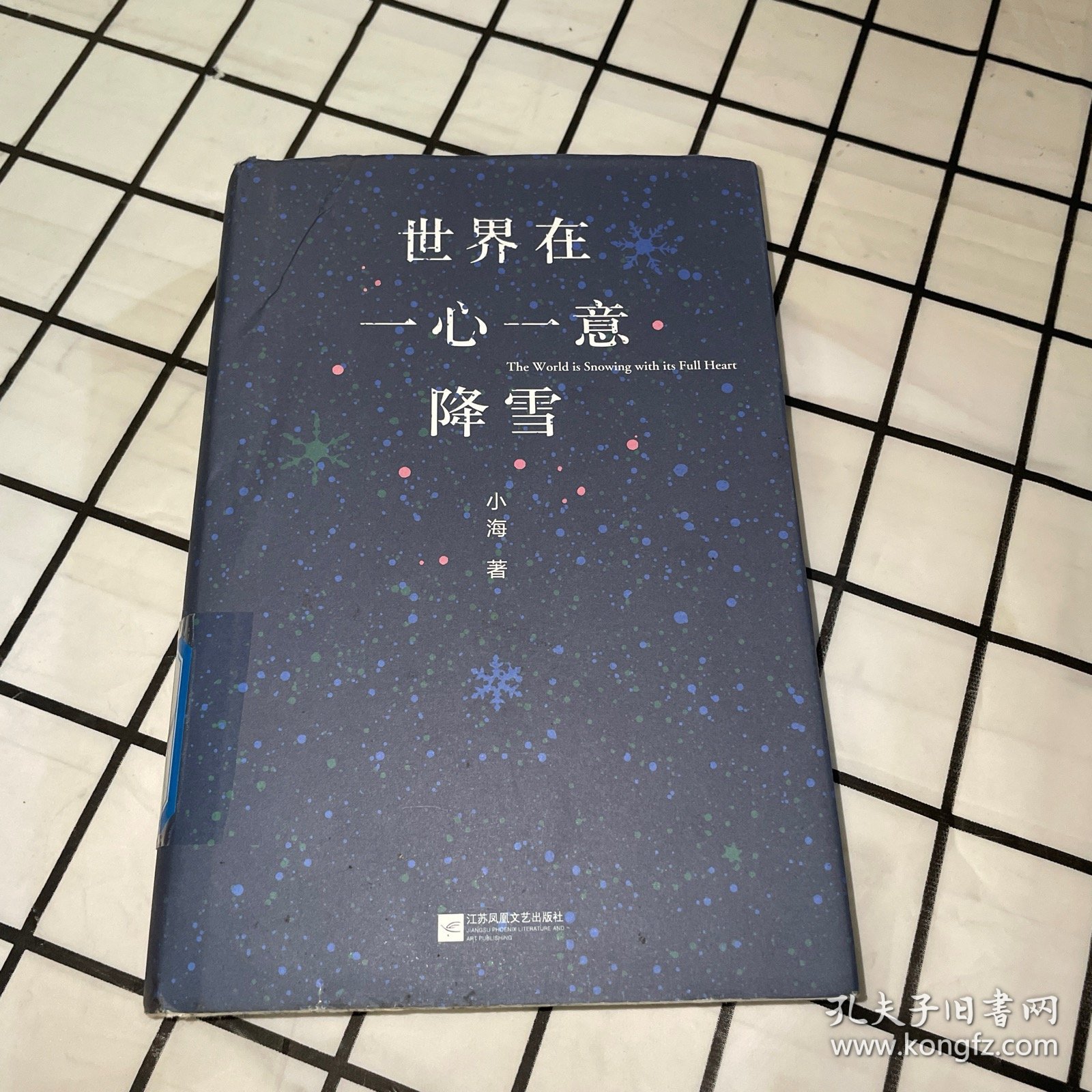 世界在一心一意降雪（一版一印）