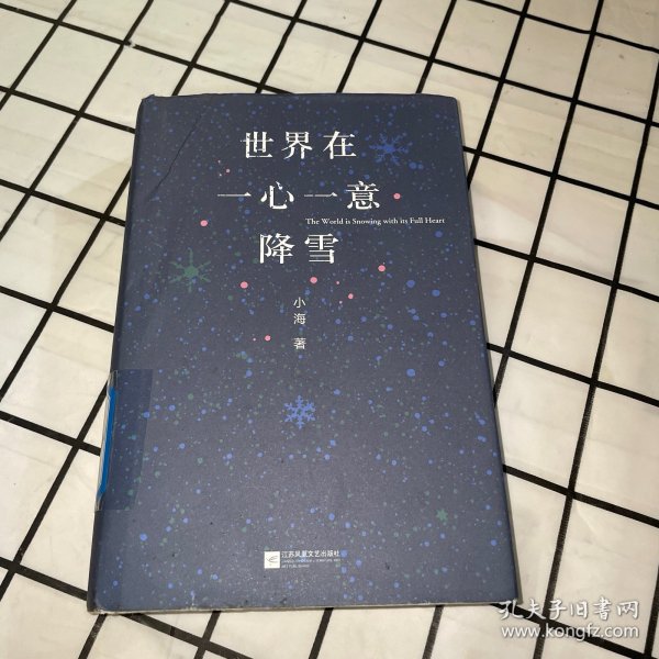 世界在一心一意降雪（一版一印）