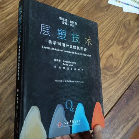 层塑技术.美学树脂分层修复图谱