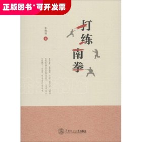 打練南拳