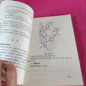 野菜的食用及药用  (张哲普 签名本)+一张信纸