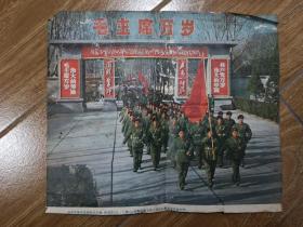 毛主席万岁 宣传画