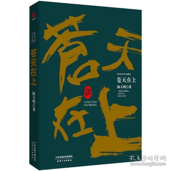 陆天明当代作品精选：苍天在上