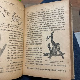 高等学校教学用书：人体解剖学（精装） 【1957年一版一印】