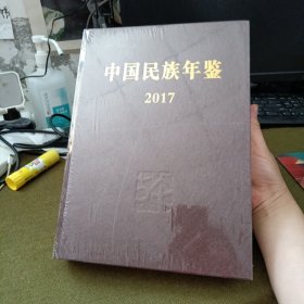 中国民族统计年鉴（2017）