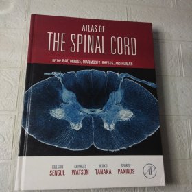 Atlas of the Spinal Cord of the Rat, Mouse, Marmoset, Rhesus, and Human