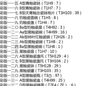 预售  汝州张公巷窑遗址