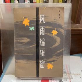 风雨编辑窗