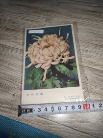 花好月圆