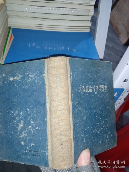大众政治经济学辞典（精装）
