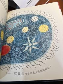 信谊绘本世界精选图画书·微生物：看不见的魔术师