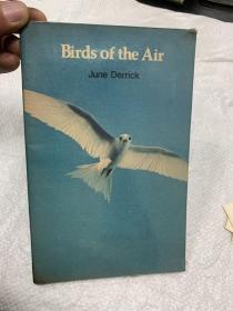 Birds of the Air June Derrick 
空中的飞鸟
琼•德里克