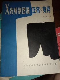 X線解剖圖譜正常變異